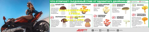 мяу мяу мука Баксан