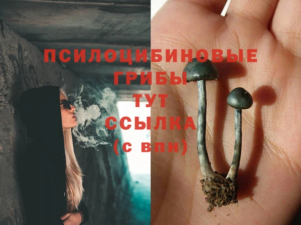 таблы Беломорск