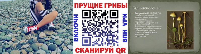 Галлюциногенные грибы мухоморы Чусовой